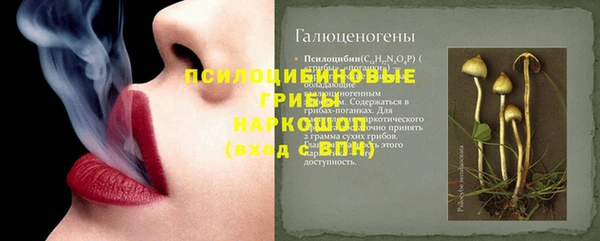 ПСИЛОЦИБИНОВЫЕ ГРИБЫ Навашино