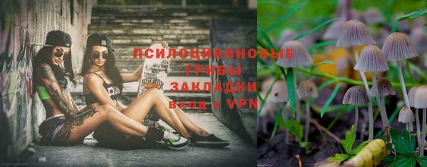 ПСИЛОЦИБИНОВЫЕ ГРИБЫ Навашино